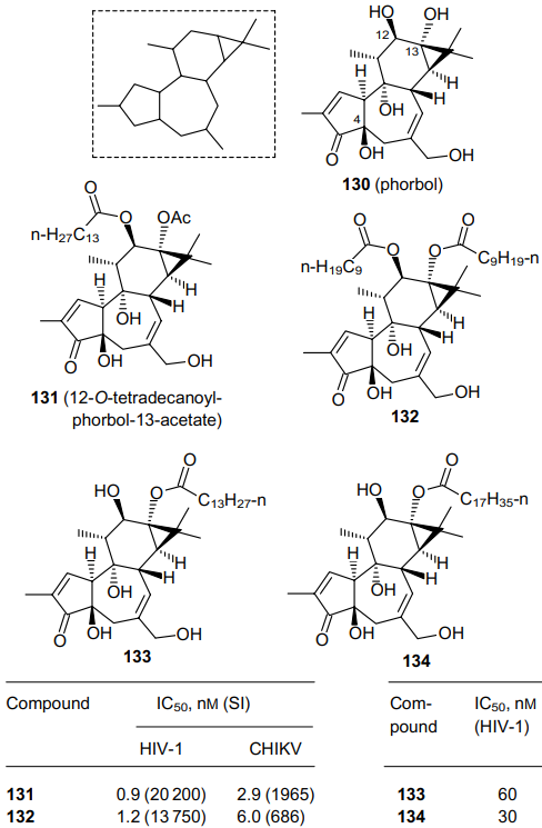 Tigliane-type skeleton (in the frame), structures of phorbol (130) and its esters 131-134, and their antiviral activity.87, 88