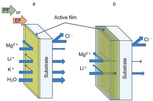 Diagram of ion separation using bilayer- (a) and multilayer (b) membranes in baromembrane and electromembrane processes under the action of pressure field (PF) or electric field (EF), respectively. The substrate membrane suppresses the electromigration of co-ions (in this case, anions). The thin active film serves as a barrier for cations; the barrier for divalent cations is much higher than that for monovalent cations. In the case of an NF membrane, the water flux through the membrane much exceeds the ion fluxes, which results in a permeate being a more dilute solution than the retentate. During ED, the water flux through the membrane is many orders of magnitude lower than that in NF.