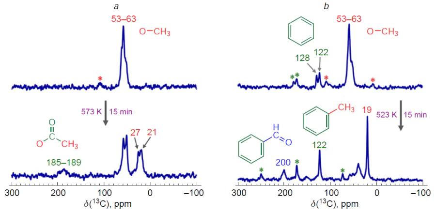 13С MAS NMR spectra of methoxy species with the addition of СО (a) or benzene (b) adsorbed on the surface of copper-modified ZSM-5 zeolites, before and after transformation at temperatures of 523 or 573 K. The symbol * denotes a spinning side band.