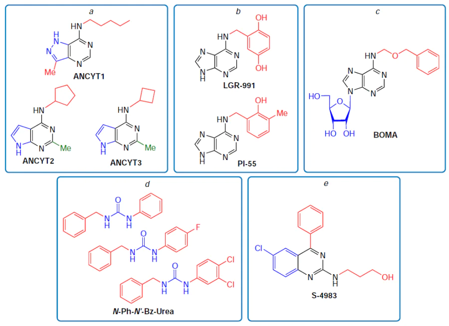 Structures of anticytokinins of different classes: purine derivatives with a modified heterocyclic ring (a) and with N6-substituents in adenine (b) and adenosine (c), N-phenyl-N'-benzylureas (d), and 2-(3-hydroxypropyl)amino-4-phenyl-6-chloroquinazoline (e).