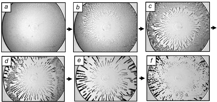 Photomicrographs (4×) illustrating the morphology of a nanodiamond dispersion in an aqueous medium, which appears under a flow at a rate of 1 s-1 and at a shear strain of 0 (a), 190 (b), 380 (c), 940 (d), 1480 (e) and 2000 units (f).120