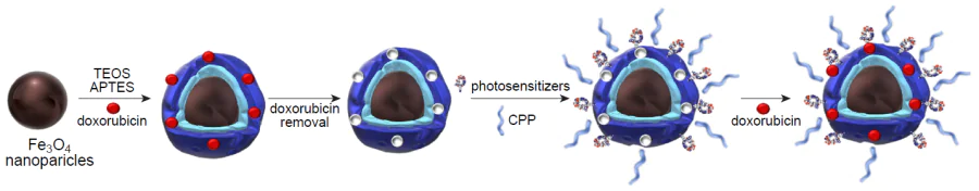 Schematic diagram of the synthesis of hybrid MIP for synergistic chemotherapy/photodynamic therapy and active tumour cell targeting.236 CPP is cell-penetrating peptide.