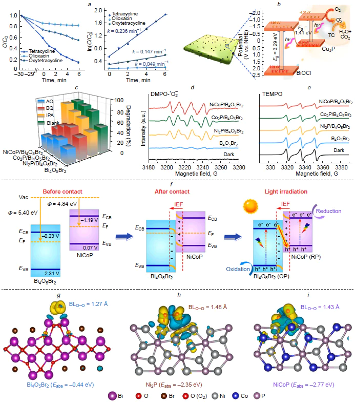 Photocatalytic pollutant degradation and reactive species generation in TMP-based heterojunction systems. Degradation of antibiotics and corresponding pseudo-first-order kinetic fitting, where k represents the apparent rate constant of the reaction (i). TC degradation pathway on Cu3P/BiOCl (b). Reproduced from Shi et al.148 with permission from the Elsevier. Trapping of reactive species during bisphenol A (BPA) photodegradation (c). AO is ammonium oxalate (h+ scavenger), BQ is benzoquinone (•O2– scavenger), IPA is isopropanol (•OH scavenger). Electron paramagnetic resonance spectra of DMPO – •O2– (d) and TEMPO (e) under dark and light. DMPO (5,5-dimethyl-1-pyrroline N-oxide) serves as a spin-trapping agent for •O2– radicals, and TEMPO (2,2,6,6-tetramethylpiperidine 1-oxyl) acts as a probe for photogenerated h+. Schematic band structure of the NiCoP/Bi4O5Br2 heterojunction before contact, after contact, and under light irradiation, referenced to the vacuum energy level (Vac) with Bi4O5Br2 and NiCoP denoted as the oxidation-type photocatalyst (OP) and reduction-type photocatalyst (RP), respectively, (f). Surface configuration and charge density of Bi4O5Br2 (g), Ni2P (h), and NiCoP (i) with O2. BL is the O – O bond length. Reproduced from Yang et al.149 with permission from Elsevier.