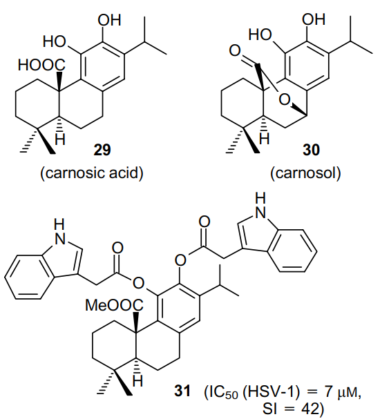 Structures of carnosic acid (29), carnosol (30) and compound 31.25, 26