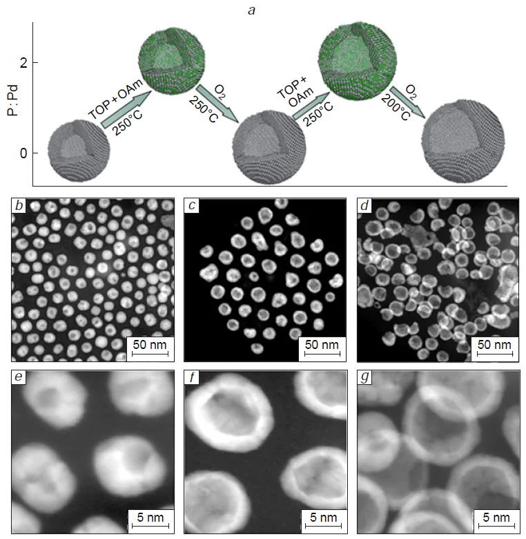 Repeated Kirkendall cavitation strategy for the synthesis of hollow Pd nanocrystals with progressively thinner shells. Schematic illustration of the evolution of the P/Pd molar ratio during successive cavitation cycles using oleylamine (OAm) as the reaction medium (a). HAADF-STEM images of hollow Pd nanocrystals obtained after one (H – Pd-1) (b), two (H – Pd-2) (c), and three (H – Pd-3) (d) cavitation cycles. High-resolution HAADF-STEM images of H – Pd-1 (e), H-Pd-2 (f), and H-Pd-3 (g). Reproduced from Tianou et al.73 with permission from the Springer Nature.