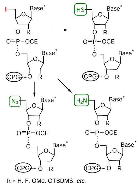 Scheme of reactions of 5'-iodo oligonucleotides