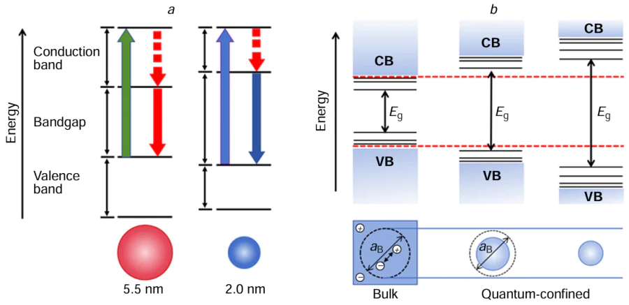 (a) Schematic diagram of the principle of quantum dot photoluminescence (solid lines are radiative leaps; dashed lines are non-radiative leaps), (b) Quantum confinement occurs when the spatial extent of electronic wave functions is smaller than the Bohr exciton diameter (aB), leading to size-dependent optical and electrical properties distinct from those of parental bulk solids. The emission wavelengths of QDs vary depending on their size.
