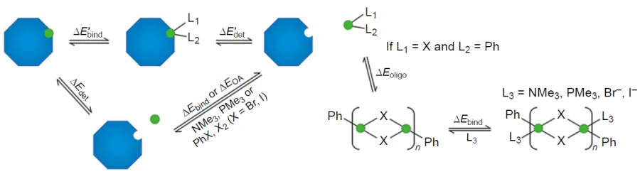 Possible processes of leaching, trapping and oligomerization in Pd catalytic systems. Pd nanoparticles are shown in blue, Pd species that have passed into solution are shown in green. Reproduced from Ref. 94 under a CC-BY-NC-ND license.