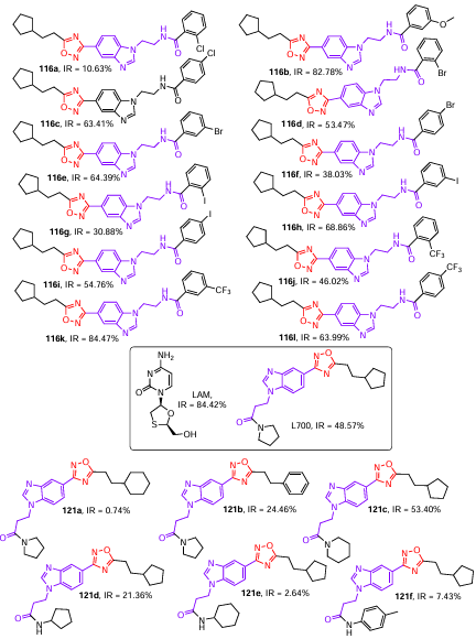 Structures of benzimidazolyl-1,2,4-oxadiazoles 116 and 121 possessing a strong anti-hepatitis activity and L700 and LAM agents (drawn in the box). The presented IR values were measured for human hepatoblastoma cell line (Hep-G2/2.2.15) at a concentration of 4 μM.67