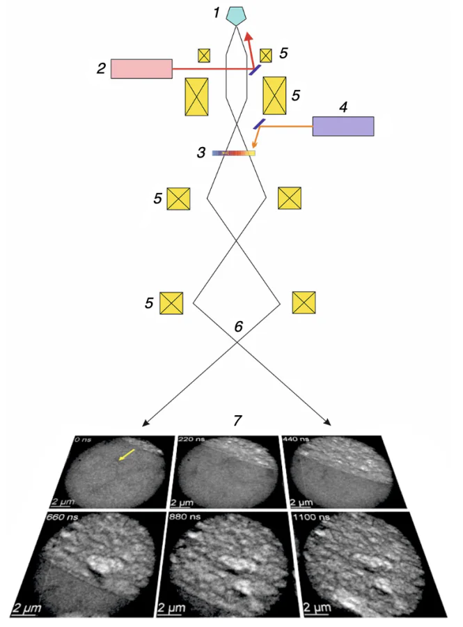 Design of the dynamic transmission electron microscopy: (1) photocathode; (2) laser for the control of the photocathode (15 – 17 ns pulse duration); (3) RMNF sample in which the reaction wave propagates; (4) laser that ignites the sample (initiates the reaction at the initial point; 3 ns pulse duration); (5) electron lenses; (6) electron beam; (7) images detected by a high-speed CCD camera (the images were adapted from Ref.[90]).