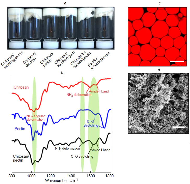 (a) Highly concentrated emulsion capsules made of various combinations of natural polysaccharides. (b) IR spectra of pure chitosan, pure pectin, and freeze-dried capsule shells composed of the chitosan and pectin complex. (c) Confocal image of emulsion capsule shells composed of the chitosan/pectin complex. The scale bar is 5 μm. (d) SEM image of the capsule shells composed of the chitosan/pectin complex. The scale bar is 30 μm. Copyright belongs to the Royal Society of Chemistry.48