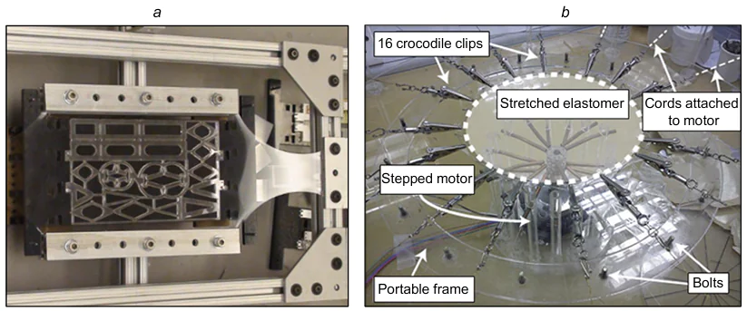 Devices for pre-stretching DEA membranes: (a) a biaxial stretching device,113 (b) a radial stretcher.142 Reproduced with the permission of MDPI113 and IOP Publishing142