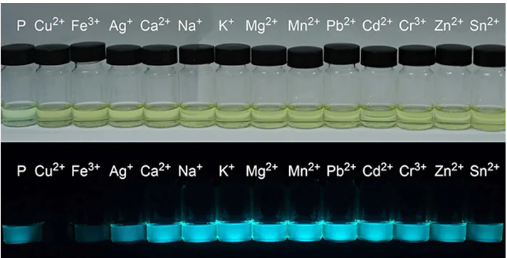 Photographs showing the emission of polymer 79 in the presence of metal cations under daylight (above) and under UV light (below). Reproduced from Liu and co-workers 48 with permission from Springer Link.