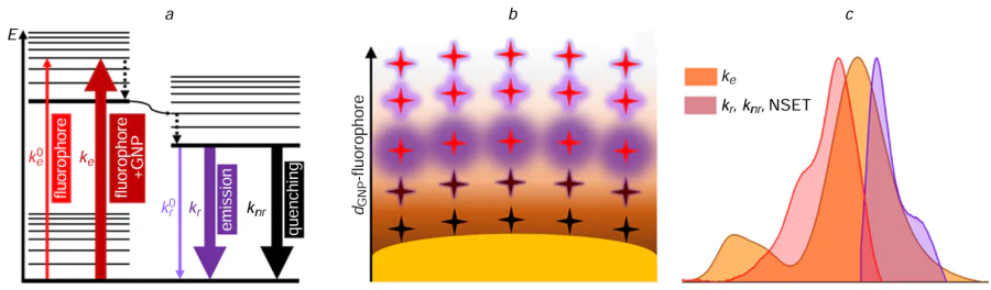 (a) Energy diagram of excitation and decay of the excitation state of the fluorophore under LSPR effect and in a free space; (b) illustration of the fluorescence intensity of molecules located at different distances from the plasmonic surface; (c) spectral overlap of the absorption region of plasmonic nanoparticles with the absorption and emission regions of the fluorophore where all fluorophore kinetic parameters are influenced by LSPR [on the example of the absorption spectrum of gold nanorods with an aspect ratio of 2.1 (orange) and absorption (pink) and emission (lilac) spectra of cyanine 5.5].