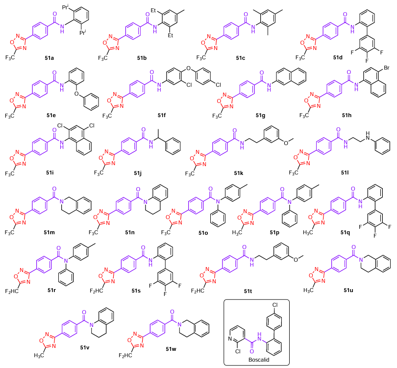 Structures of 1,2,4-oxadiazoles 51 exhibiting antifungal activity and boscalid (drawn in the box).39