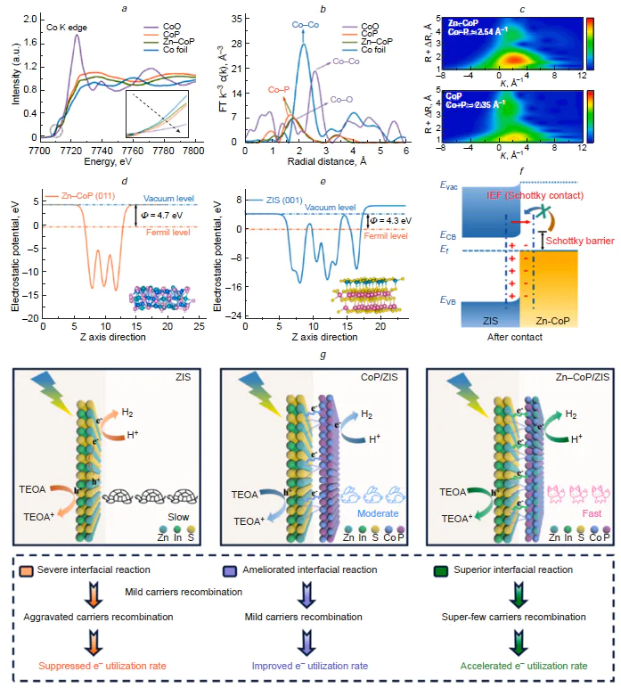 Electronic structure analysis and photocatalytic H2 evolution mechanism of Zn – CoP/ZIS heterostructures. Co K-edge XANES spectra of CoP, Zn – CoP, Co foil, and CoO (a). FT-EXAFS spectra of CoP, Zn – CoP, Co foil, and CoO (b). Wavelet transform contour plots of EXAFS signals for CoP and Zn – CoP (c). Work functions of Zn – CoP (d) and ZIS (e). Schematic of H2 evolution over the Zn – CoP/ZIS Schottky junction (f). Schematic of H2 evolution on ZIS, CoP/ZIS, and Zn – CoP/ZIS systems (g); TEOA is triethanolamine. Reproduced from Yu et al.79 with permission from Elsevier.