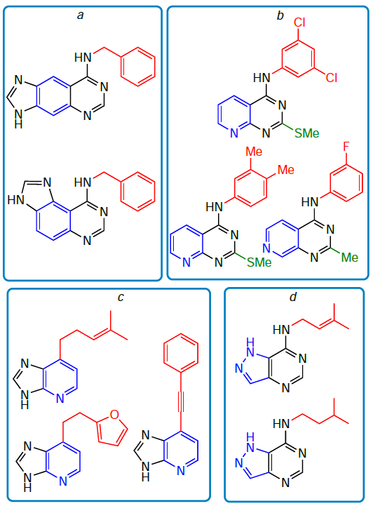 Structures of synthetic cytokinins with a modified heterocyclic core: derivatives of imidazo[4,5-g]- and imidazo[4,5-f]quinazolines with an expanded purine ring (a), pyrido[3,4-d]pyrimidines (b), imidazo[4,5-b]pyridine (1-deaza-purine analogues) (c), and 7-aminopyrazolo[4,3-d]pyrimidine (8-aza-9-deaza-purine analogues) (d).