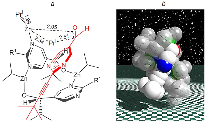 Transition state for the enantioselective transfer of the isopropyl group computed using the B3LYP/6-31G* method (CPCM, toluene) (а). Spatial structure TS1 (b).59 Сopyright American Chemical Society 2012.