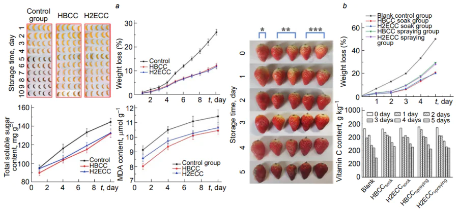 Preservation effect of crosslinked HBCC and H2ECC films on bananas (a) and strawberries (b)[109, 110].