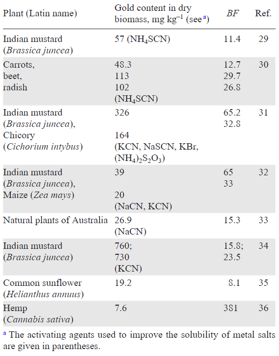 Gold content in dry biomass