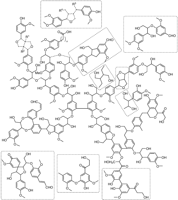 Proposed scheme for the structure of the spruce milled wood lignin.17 Minor structures (content below 4 structures per 100 aromatic units) are marked with dashed lines.