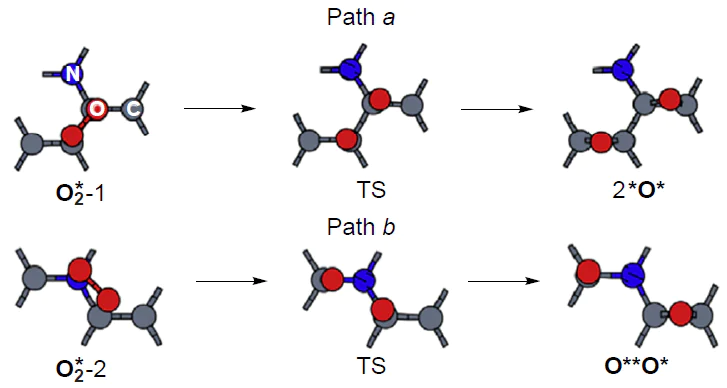 Dissociation mechanism of O2* adsorbate on the graphitic nitrogen-doped graphene model.101 TS is transition state. Copyright Elsevier.