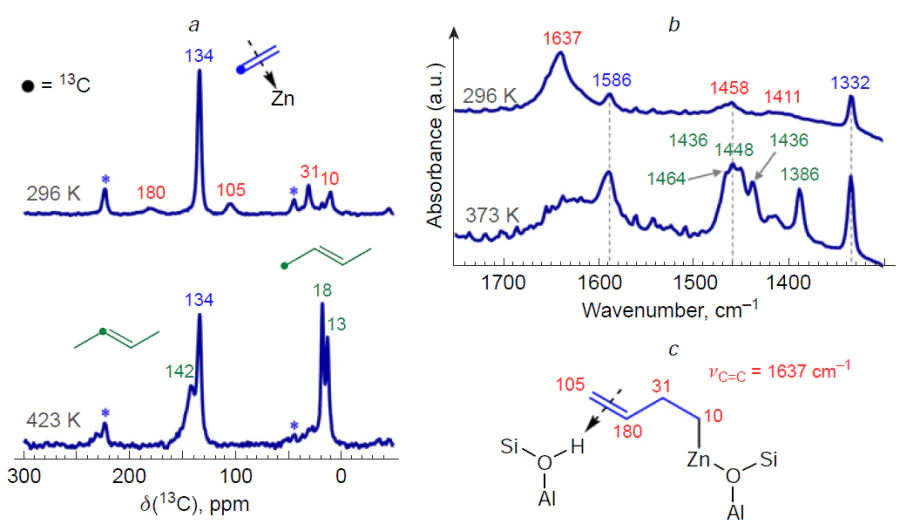 13С MAS NMR spectra of ethylene-13С1 on Zn2+/ZSM-5 zeolite after transformation at 296, 423 K (a). The symbol • denotes the position of the 13C atom in the hydrocarbon moiety. The symbol * denotes a spinning side band. FTIR spectra of ethylene adsorbed on Zn2+/ZSM-5 zeolite (b) at 296, 373 K. Structure and spectral characteristics of the ethylene dimerization intermediate (c).