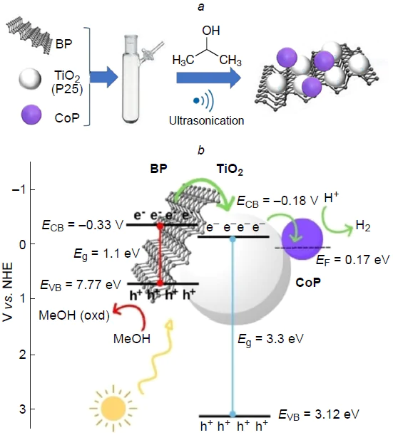 Schematic for the synthesis of the TiO2/FLBP/CoP ternary heterostructure (a) and band energy level diagram and the photocatalytic reaction pathway on the TiO2/BP/CoP composite under UV-Vis irradiation (b).183 EF is the Fermi level. Published under a CC BY license from Wiley.