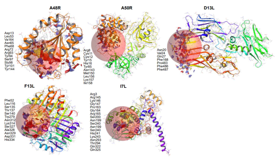 Examples of AlphaFold models for corresponding proteins with the binding site area predicted by the SiteMap algorithm (highlighted in pink, while other regions are depicted in different colours representing the protein peptide chain). The figure was created by the authors based on published data[124].