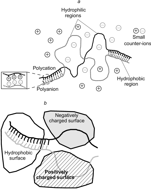 IPEC structure (a) and binding to soil particles (b).1054 Published with permission from Elsevier.
