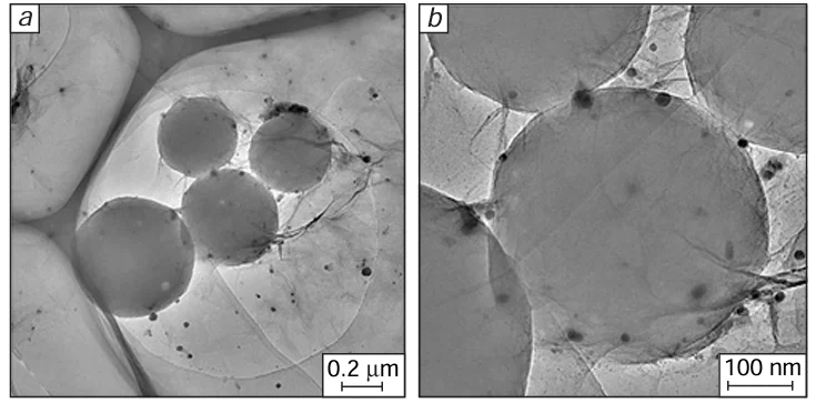 TEM images of Pickering nanoemulsion stabilized by the Ag-NP/GO composite: (a) emulsion nanodrop, (b) Ag-NP/GO nanocomposite.165 Copyright belongs to Elsevier.