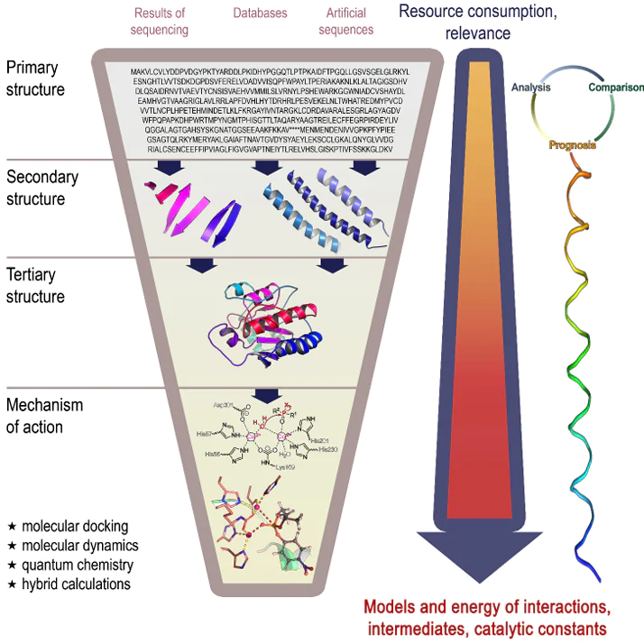 Generalized strategy of bioinformatic approaches to study enzymes, in particular using supercomputers. There is spiral progression from simple to complex: from the primary amino acid (or nucleotide) sequence to a mature three-dimensional structure of the enzyme and then to the mechanism of its action; each subsequent level requires a higher amount of resources and gives more interesting results for science and practice.