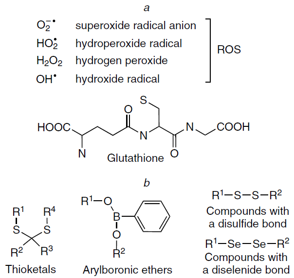 Examples of biologically active redox molecules, ions, and radicals (a) and groups sensitive to redox processes (b).