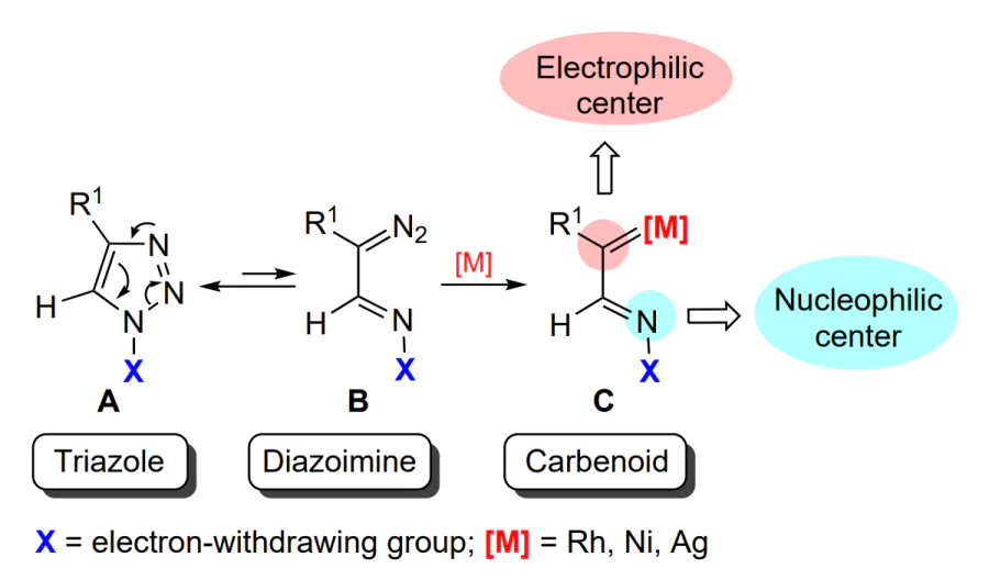 Ring-chain tautomerism in 1-substituted 1,2,3-triazoles[1261].