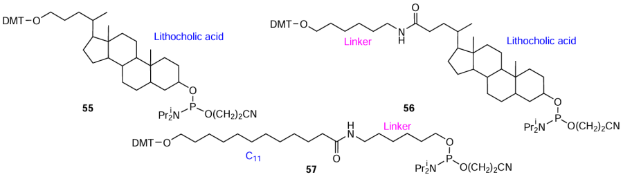 Structures of lab-made non-nucleotide internal modifiers 55 – 57