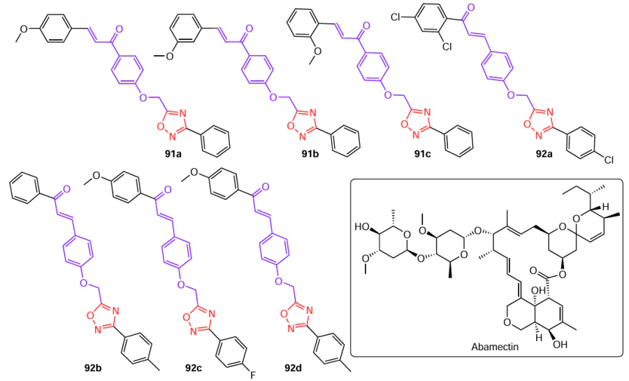 Structures of hybrids 91 and 92 based on chalcone and 1,2,4-oxadiazole with high nematicidal activity and abamectin (drawn in the box).47