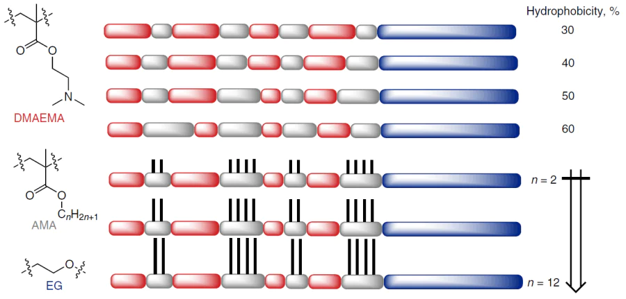 Schematic image of polyacrylate – PEG copolymers in which the hydrophilic – lipophilic balance can be tuned by controlling the ratio of the monomers DMAEMA (or ethyl homologue DEAEMA) and AMA with the C2 – C12 alkyl substituent in the ester group.136 Copyright American Chemical Society 2021.