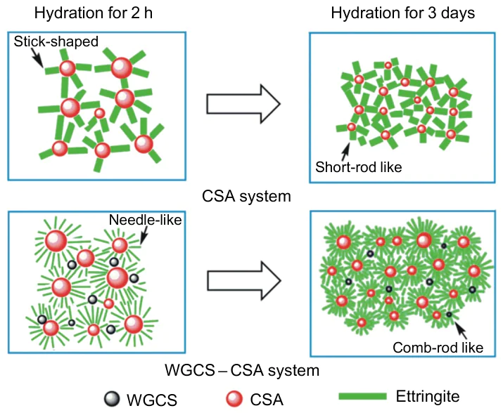 The mechanism of hydration in CSA and wet-ground carbide slag-calcium sulfoaluminate (WGCS-CSA) system. Reproduced from Ref. 170 under the Creative Common BY 4.0 license.