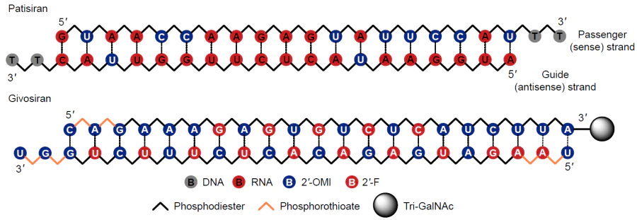 Structures of siRNA-based drugs