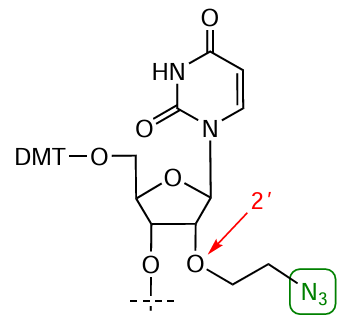 Structure of a solid support containing azido group in the 2'-position of uridine
