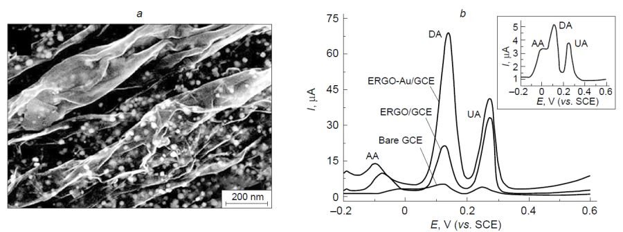 (a) SEM image of the Au/ERGO composite; (b) DPV curves for a mixture of ascorbic acid (AA, 1.0 mM), dopamine (DA, 0.1 mM), and uric acid (UA, 0.1 mM) at a bare GCE, at an ERGO-modified electrode (ERGO/GCE), and at an electrode modified with the Au/ERGO composite (ERGO – Au/GCE). The inset shows an enlarged fragment of the voltammogram for the bare GCE. Conditions: H2O/0.067 М PBS, pH 6.98. DPV parameters: υ = 4 mV s–1, pulse amplitude of 50 mV, pulse duration of 20 ms.245 Copyright Wiley-VCH.