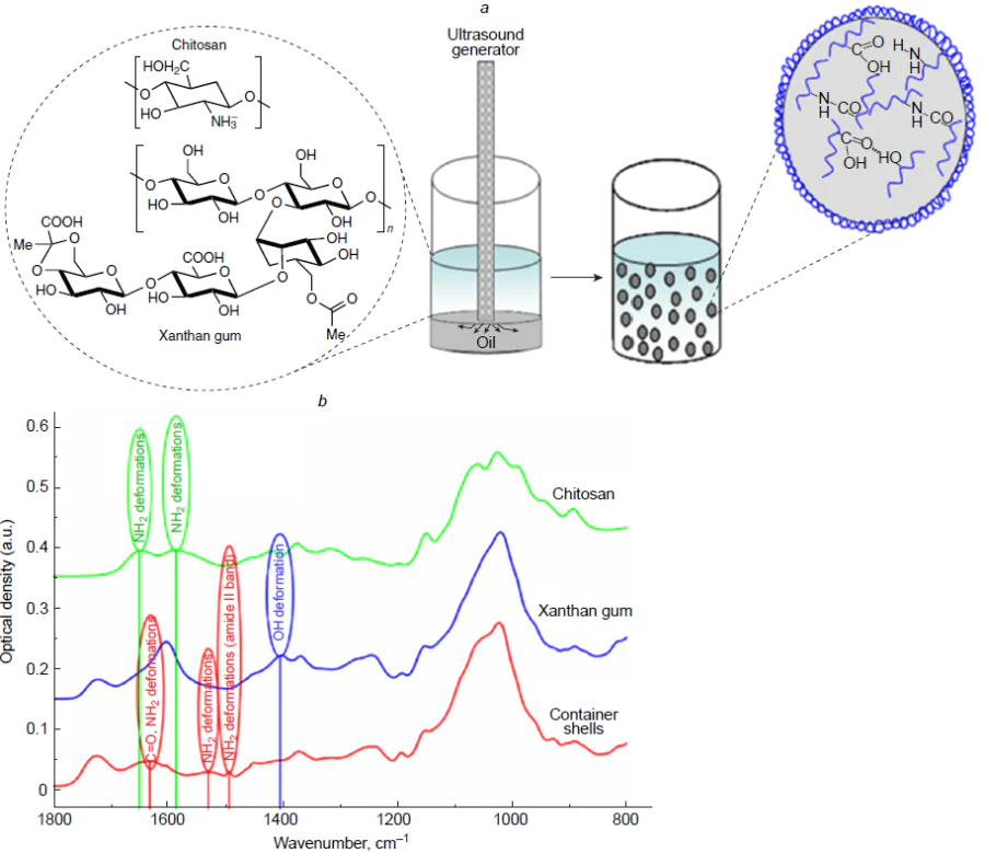 (a) Schematic image of the formation of chitosan and xanthan gum microcontainers. (b) Results of IR spectroscopy study of the initial chitosan and xanthan gum and the extracted and dried capsule shells.16 Published with permission from the American Chemical Society.