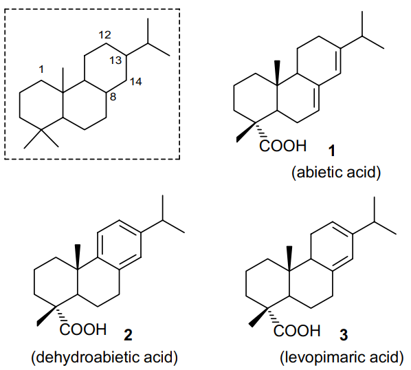 Abietane-type carbon skeleton (in the frame) and structures of abietic (1), dehydroabietic (2), and levopimaric (3) acids