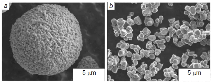 SEM images of PC-NMC (а) and SC-NMC (b) materials. Author’s figure taken from the archive to a publication.9