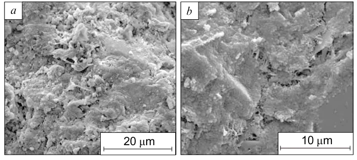SEM images of AAGG pastes at 3 (a) and 28 days (b) of age. Reproduced from Ref. 276 under the Creative Common BY 3.0 license.