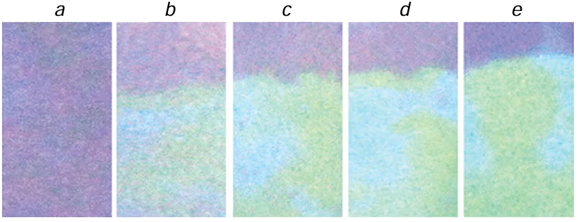 Photographs of the paper strips treated with compound 136 directly (a) and with addition of ClO– in concentration of 50 (b), 100 (c), 200 (d), or 300 mM (е). Reproduced from Chattopadhyay and co-workers 62 with permission from the Royal Society of Chemistry.