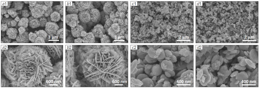 SEM images of Au/ZnO – F – O (a1, a2), Au/ZnO – F – H (b1, b2), Au/ZnO – D – O (c1, c2), Au/ZnO – D – H (d1, d2). Reproduced from Ref. 250 with permission from the American Chemical Society.