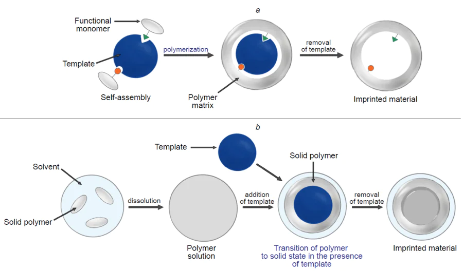 Classic (a) and alternative (b) synthetic routes to MIPs