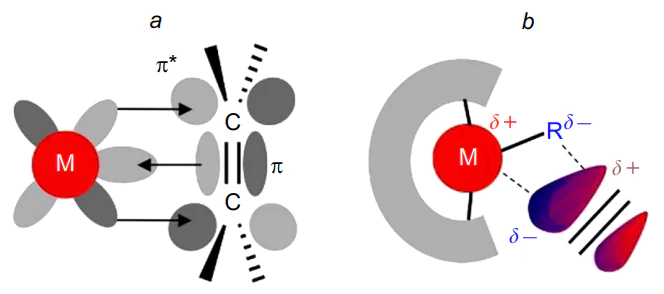 Schemes illustrating the nature of C=C bond activation in the π-complexes of olefins with a Lewis acid site that has d electrons (a) or only s electrons (b).110 Published with permission from John Wiley &amp; Sons