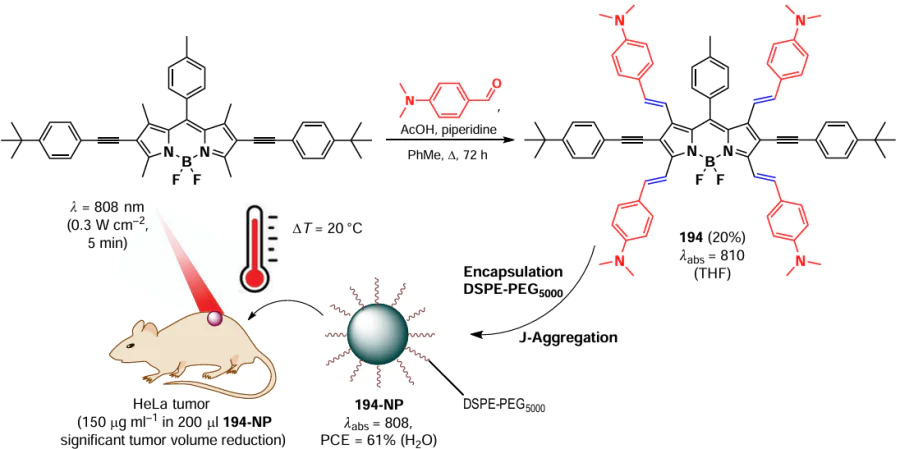 Synthesis scheme of BODIPY 194 and the principle of action of NPs based on it in vivo. The figure created by the authors based on the data of the publication253.